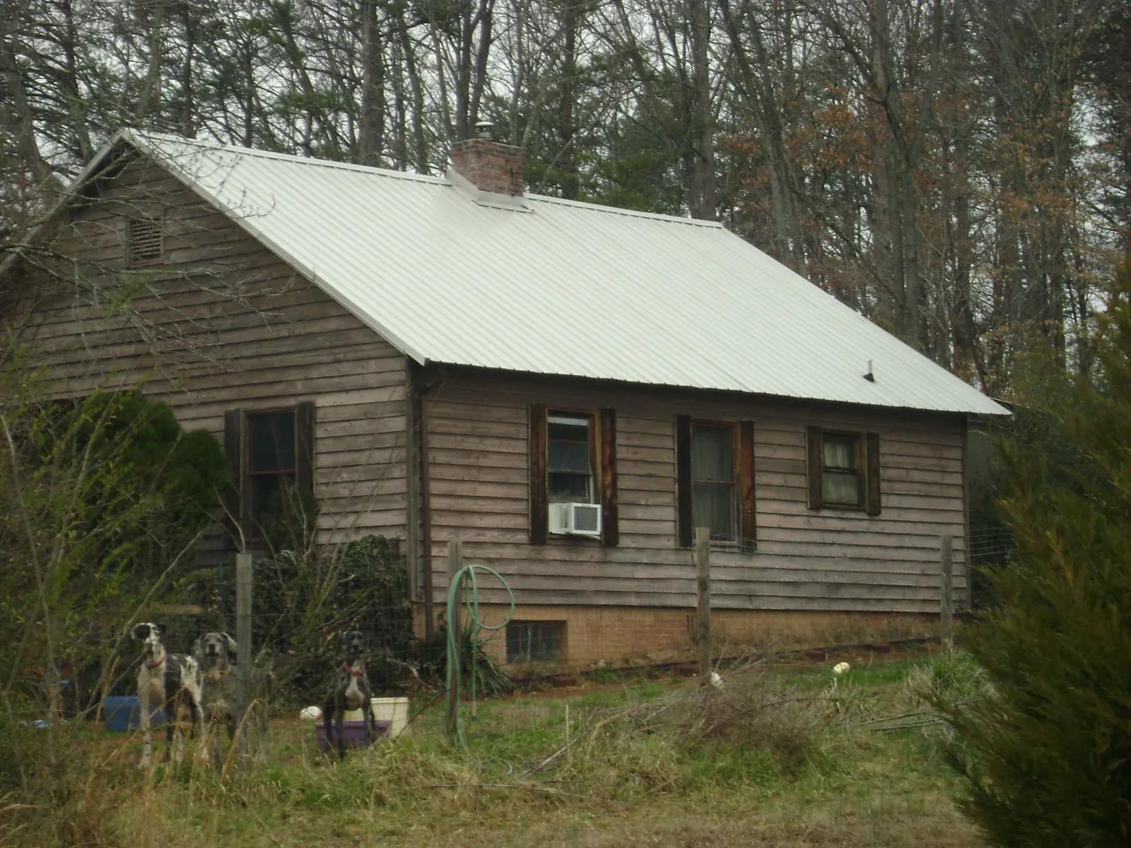 White metal roof on an old wood sided farmhouse, from a Asphalt Shingle Roof Repair job in New Vienna